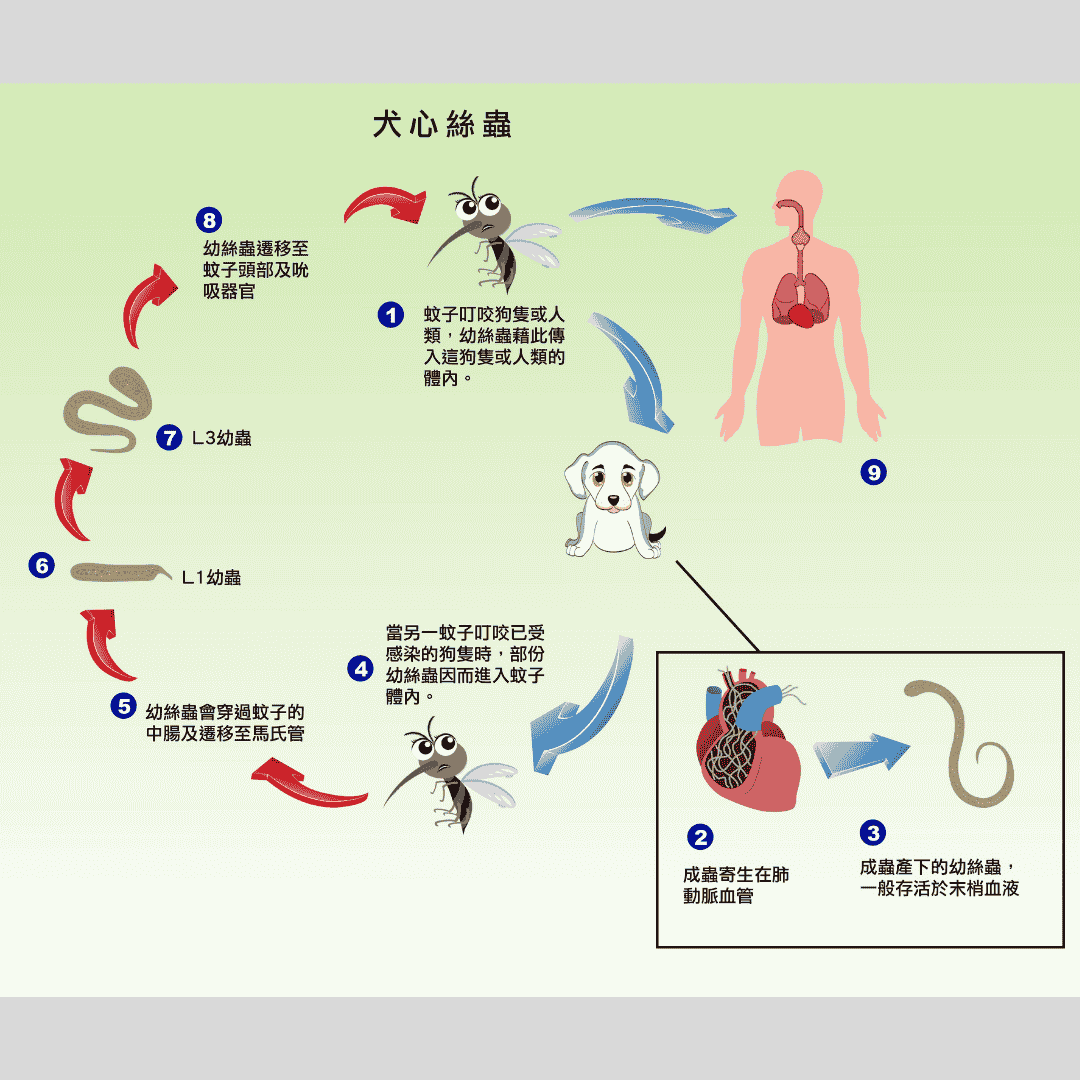 未命名設計 (5)